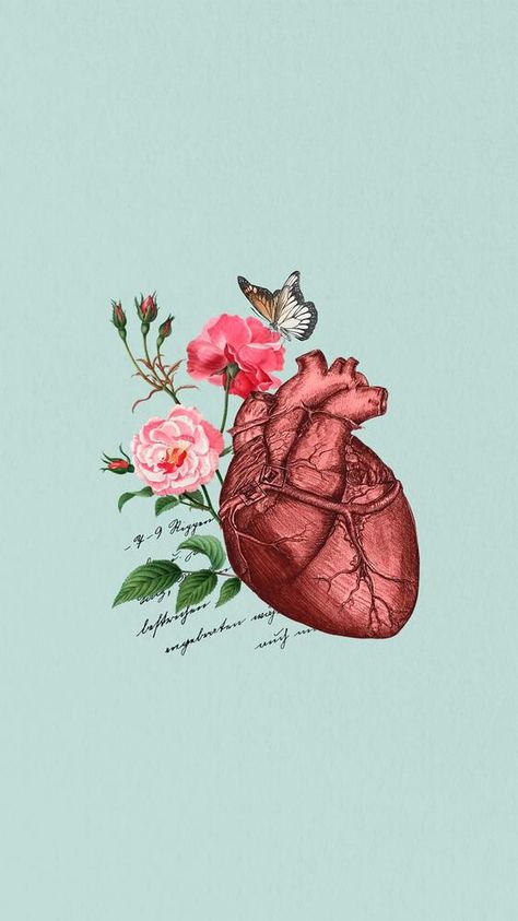 Human Heart Wallpaper, Paula Core, Iphone Wallpaper Love, Love Iphone Wallpaper, Love Heart Wallpaper, Heart Phone Wallpaper, Phone Wallpaper Collage, Flower Wallpaper Aesthetic, Heart Wallpaper Hd