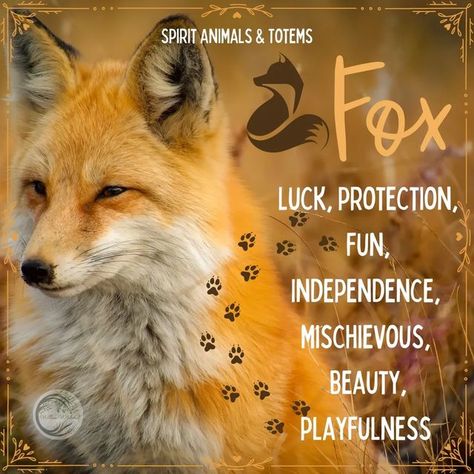 Fox Familiar, Fox Symbolism, Fox Spirit Animal, Animal Totem Spirit Guides, Symbolism Meaning, Spirit Animal Meaning, Fox Totem, Animal Meanings, Animal Communication