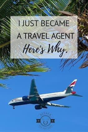 Best Travel Agency To Work For, Travel Agent Career, Travel Consultant, I Am Growing, Become A Travel Agent, Hawaiian Travel, Online Travel Agency, Travel Agencies, Travel Advisor