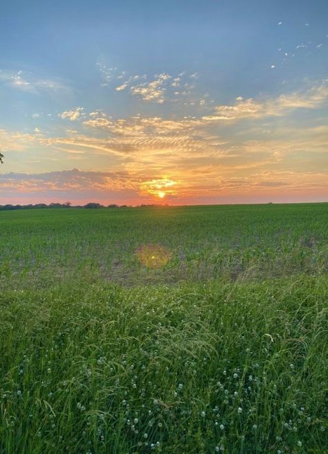 Grassy Hill Aesthetic, Grassy Field Aesthetic, Grass Field Aesthetic, Dharma Aesthetic, Open Field Aesthetic, Grassy Landscape, Landscape Practice, Grassy Plains, Plains Landscape