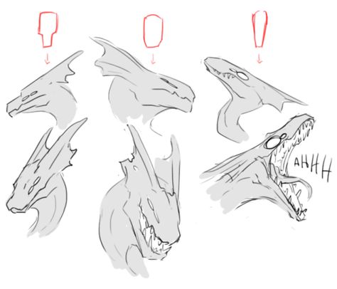 Dragon Head Drawing Reference, Dragon Head Reference Front View, Dragon Face Drawing Front View, Dragon With Mouth Open Drawing, Dragon Head Concept Art, Dragon Poses, Dragon Anatomy, Dragon Sketch, Creature Drawings