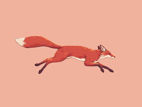 Fox Run Pattern on Behance Running Sketch, Running Reference, Running Animation, Running Drawing, Running Illustration, Fox Running, Fox Tattoo Design, Running Art, Running Gif