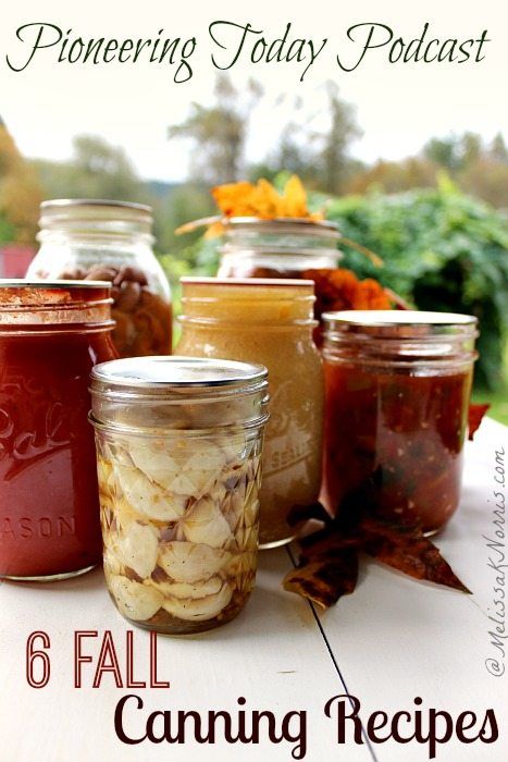 Getting produce in season and preserving it for the following year is the most frugal ideas to cut your food budget and increase your pantry. These 6 fall canning recipes are what we’re puttinp on our homestead right now and the perfect time for you to do so as well, before prices rise and winter sets in. #fall #canning #preserving #foodstorage Fall Canning, Melissa K Norris, Foods At Home, Canning 101, Canning Fruit, Canning Food Preservation, Canned Food Storage, Canning Tips, Food Cost