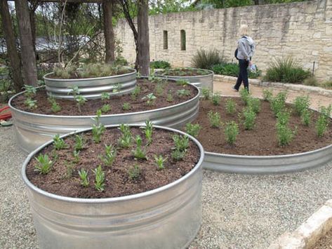 Galvanized Stock Tanks in the Garden | Thinking Outside the Boxwood Stock Tank Gardening, Galvanized Stock Tank, Stock Tank Pool, Stock Tank, Planter Design, Have Inspiration, Veggie Garden, Raised Beds, Raised Garden Beds