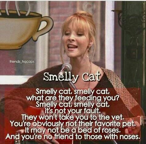 Friends Smelly Cat, Phoebe Buffay Smelly Cat, Friends Astetic, Smelly Cat Friends, Friends Tv Quotes, Friends Best Moments, Friend Jokes, Together Quotes, Smelly Cat