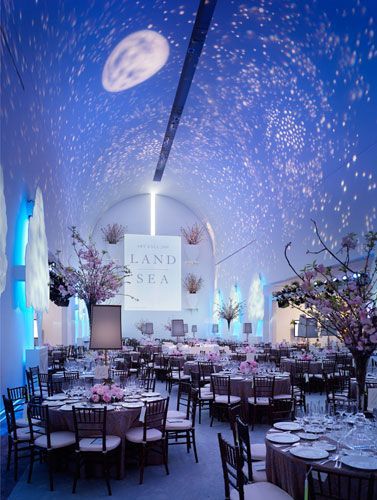 Photo Navy Blue Wedding Theme, Star Themed Wedding, Celestial Wedding Theme, Starry Wedding, Themed Wedding Decorations, Galaxy Wedding, Starry Night Wedding, Gala Ideas, Moon Wedding