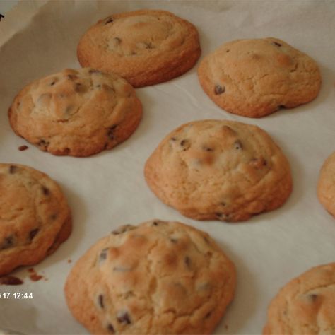 Golden Chocolate Chip Cookies Chocolate Walnut Fudge Recipe, Black Walnut Cookies, Pecan Meal, Black Walnuts Recipes, Walnut Fudge Recipe, Walnut Cookie Recipes, Chocolate Walnut Fudge, Walnut Fudge, Cookie Recipes Chewy