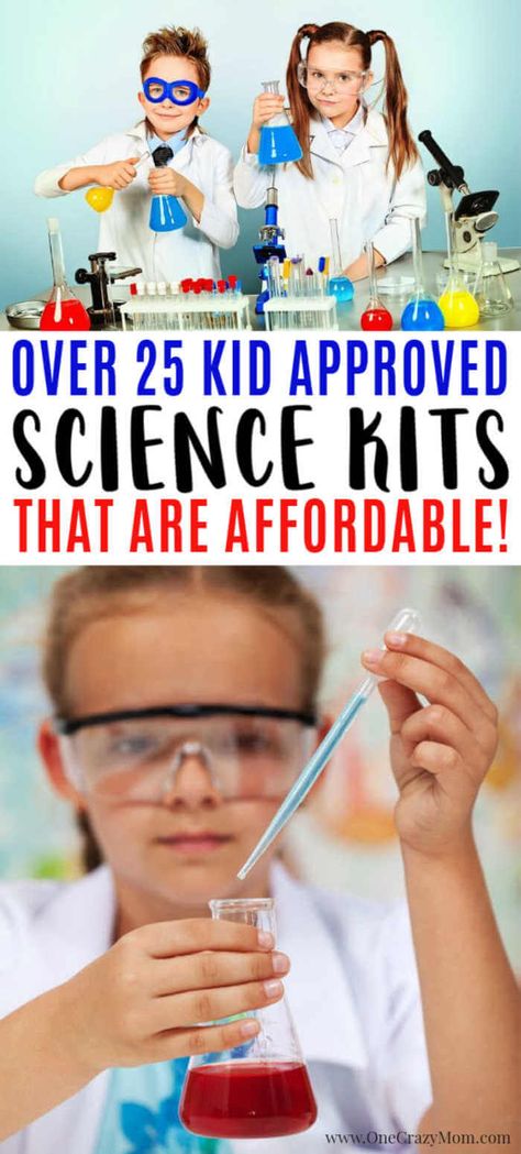 Science Kids, Boredom Busters For Kids, Science Kits For Kids, Cool Science, Mad Scientists, Diy Science, Boredom Busters, Preschool Science, Science Kits