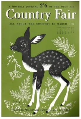 Japan Illustration, Country Fair, Alberto Giacometti, Illustration Vintage, Art Et Illustration, A Deer, Arte Animal, Art And Illustration, Woodland Creatures