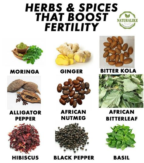 Herbs For Fertility, Fertility Smoothie, Boost Fertility, Egg Quality, Fertility Foods, Pregnancy Help, Mind Diet, Fertility Health, Improve Fertility