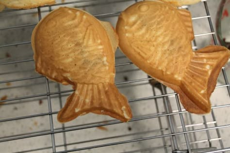 Mochi Taiyaki Waffles – EAT it NOW or EAT it LATER Taiyaki Batter Recipe, Taiyaki Recipe, Taiyaki Ice Cream, Mochi Donuts Recipe, Ono Kine Recipes, Butter Mochi, Mochi Cake, Mochi Recipe, Batter Recipe