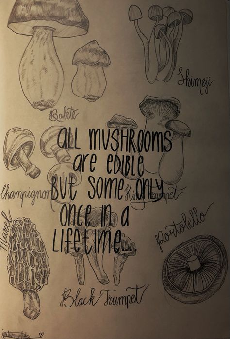 Mushroom Meaning, Mushroom Sayings, Mushroom Quotes, Jules Aesthetic, Year Tracker, Drawing Mushrooms, Fairy Quotes, Mushroom Species, White Quote