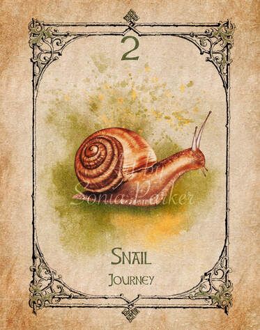 Snail Spirit Animal Spirit Animal Meaning, Animal Meanings, Dream Meanings, Snail Shell, Let Your Light Shine, Animal Totems, Knowledge And Wisdom, Spiritual Meaning, Oracle Decks