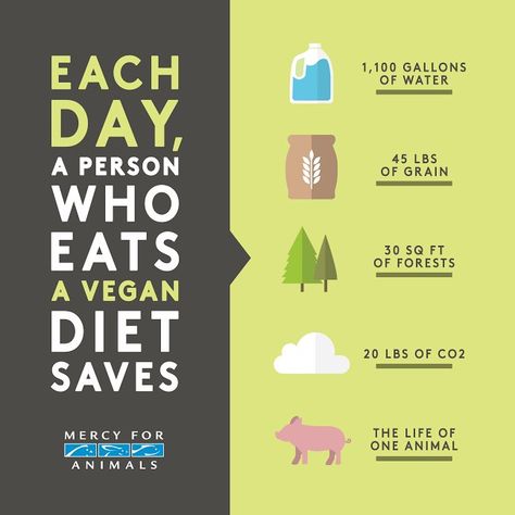 The daily impact of a #vegan diet infographic by Mercy for #Animals via @onreact Mercy For Animals, Vegan Facts, Environmentally Friendly Living, Animal Activism, Animal Agriculture, Why Vegan, Vegan Quotes, Going Vegetarian, Infographic Poster