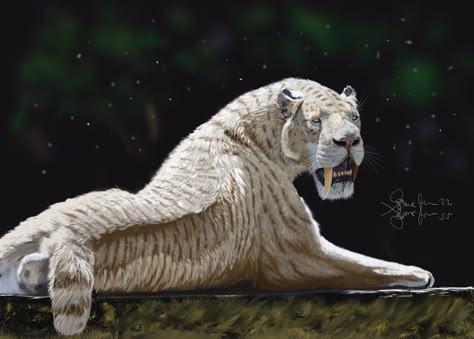 African Animals Photography, Sabertooth Tiger, Warriors Illustration, Prehistoric Wildlife, Ancient Animals, Paleo Art, Extinct Animals, Prehistoric Creatures, Prehistoric Animals