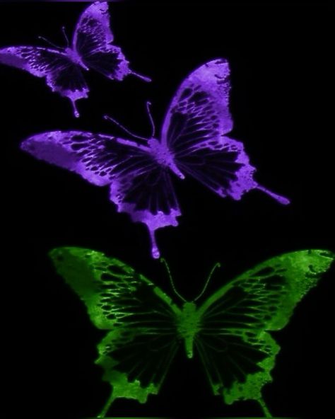 Purple Green Black Aesthetic, Green And Purple Wallpaper Aesthetic, Purple And Green Wallpaper, Green And Purple Aesthetic, Purple And Green Aesthetic, Purple And Green Butterfly, Care Bear Tattoos, Goth Baddie, Violet Aesthetic