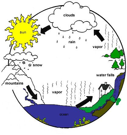 Water Cycle - Survival World Water Cycle Explanation, Water Cycle Project, Water Cycle Diagram, The Water Cycle, Kid Science, Earth Surface, Science Activities For Kids, Weather Seasons, Water Cycle