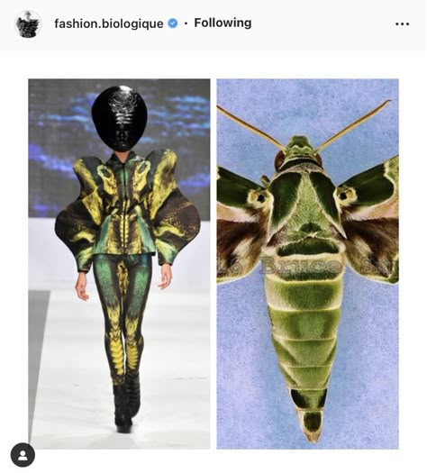 Insect Cosplay, Insect Outfit, Mantis Costume, Insect Costume, Bug Fashion, Nature Inspired Fashion, Textures Fashion, Family Show, Mood Board Fashion