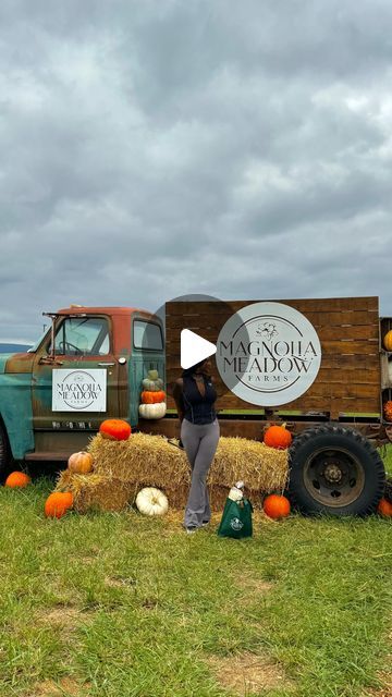 🦂Morgan | 📍MD • Bucket List Ideas on Instagram: "🎃 Marylands BEST Fall Festival: @magnoliameadowfarms 🎃 
📍 Thurmont, MD
📆 Sept 21st - Oct 27th
⏰ 10am-6:30pm (Fri-Sun)
💰 $15pp - Online
💰 $20pp - At the Door
💰 $40pp - Season Pass
+ kids under 2 are free
+ Discount Code: “MORGAN”
+ for the booking info, drop the word “Pumpkin” below & I’ll send it directly to you👇🏾

🎟️ Admission Includes:
+ Maryland’s largest corn maze
+ hayrides
+ giant jumping pillow
+ slides
+ mini zip lines
+ pedal carts
+ farm animal interactions ($4 per feeding cup)

❎ Extra:
+ pumpkins
+ flower picking ($20-$25)
+ apple canon ($4-$7)
+ gem mining
+ food & drinks

📝Dates to Remember📝
🦋 Sept 28th | butterfly release (+$7 each)
🌕 Oct 5th + 26th | moonlit maze

Magnolia Meadow Farms has been an absolute JOY Jumping Pillow, Animal Interactions, Butterfly Release, Visit Maryland, Dates To Remember, Flower Picking, Pillow Slides, Pumpkin Flower, Gem Mining