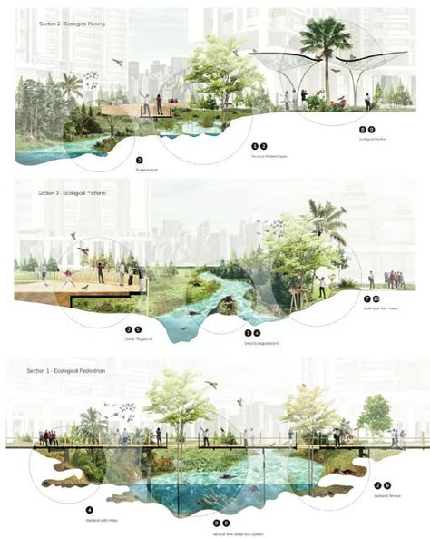 Landscape Architecture Section, Landscape Architecture Presentation, Landscape Diagram, Landscape Architecture Graphics, Landscape And Urbanism Architecture, Urban Design Diagram, Landscape Design Drawings, Urban Design Graphics, Urban Design Concept