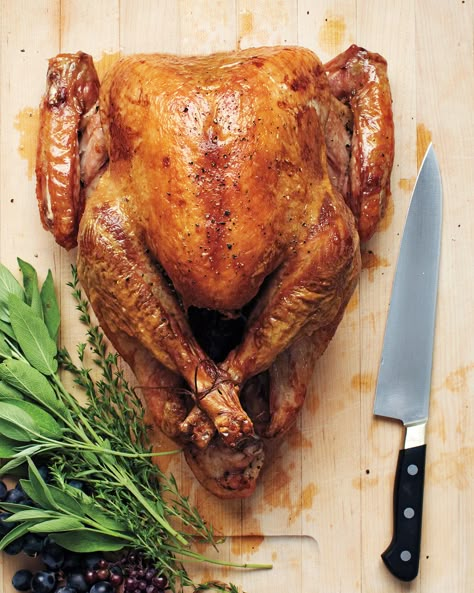 12 Pound Turkey, Herb Roasted Turkey, How To Make Gravy, Roast Turkey Recipes, Turkey Brine, Oven Roasted Turkey, Cooking Turkey, Iron Age, Roasted Turkey