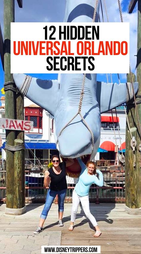 12 Hidden Universal Orlando Secrets Universal Studios Orlando Must Do, Must Do At Universal Studios Orlando, Universal Studios Orlando Hidden Secrets, Universal Orlando Packing List, Rides At Universal Studios Orlando, Universal Tips And Tricks, Things To Do At Universal Orlando, Christmas At Universal Studios Orlando, Universal Studios Tips And Tricks