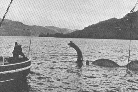 Nessie prop that sunk long ago and lies deep beneath the water... nightmare fuel Loch Ness Monster Sightings, Scary Water, Monster Sightings, Giant Anaconda, Fiddleford Mcgucket, Boat Wake, Flatwoods Monster, Gravity Falls Characters, Lake Monsters