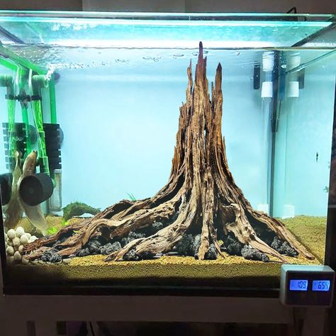 Driftwood Aquarium Stump Tree Rock Aquascape Bonsai Plants - Etsy UK Rock Aquascape, Aquascape Driftwood, Aquascape Bonsai, Plants Fish Tank, Aquascape Ideas, Driftwood Aquarium, Water Environment, Fish Tank Terrarium, Crooked Tree