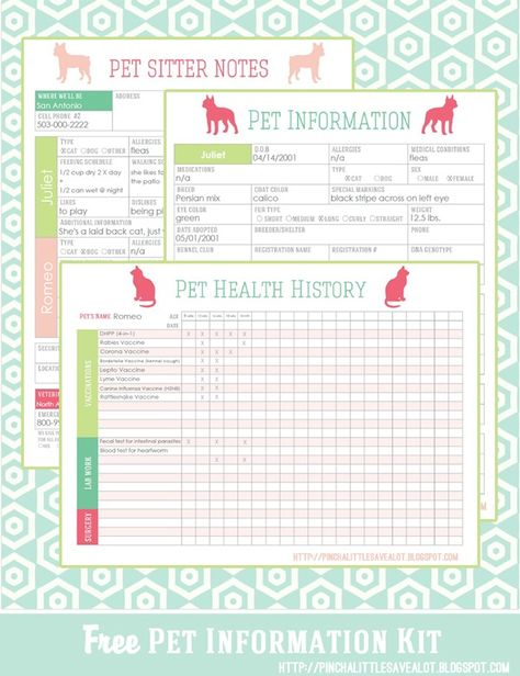 Pet Information Kit Printable from Pinch a Little Save a Lot and Take a look at these 20 Must Have Home Printables to get you Organized for the New Year on Frugal Coupon Living. Pet Information Sheet, Organization Binder, Pet Information, Pet Sitting Business, Home Binder, Dog Business, Binder Organization, Foose, Dog Info