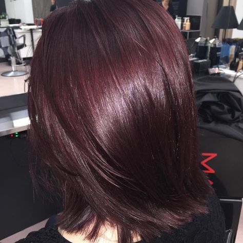 Copper Brunette, Schwarzkopf Hair Color, Wine Hair Color, Hair Color Mahogany, Mahogany Hair, Plum Hair, Wine Hair, Red Hair Inspo, Hair Color Burgundy