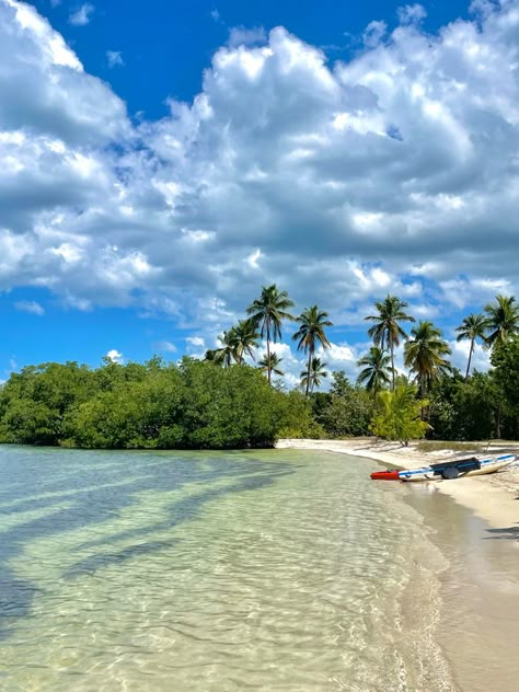 Beach in Puerto Rico, there’s big bushes and palm trees. Cabo Rojo Puerto Rico Beach, Puerto Rico Cabo Rojo, Puerto Rico Vacation Aesthetic, Puerto Rico Aesthetic Pictures, Puerto Rico Nature, Puerto Rico Inspo Pics, Flamenco Beach Puerto Rico, Puerto Rico Wallpaper, Vacation Puerto Rico