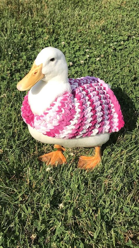 Duck cardigan | Etsy Duck Cardigan, Types Of Ducks, Chicken Sweater, Pet Ducks, Pet Sweaters, Knit Dog Sweater, Dog Jumpers, Pet Sweater, Button Sweater