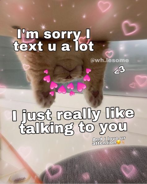 @wh.lesome on instagram  “ I’m sorry I text u a lot I just really like talking to you and I love ur attention 🥺 “ #wholesomeme #wholesomememes #wholesomememe #cats Wholesome Pictures, Couple Memes, Cat Faces, Cute Texts For Him, Silly Cats Pictures, Text For Him, Reaction Pic, Cat Meme, Cute Messages