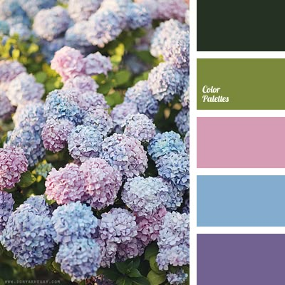 OFFICIAL COLORS!! Color Palette #1681 dark-violet, lavender, light violet, lilac, lilac and blue, lilac and violet, Orange Color Palettes, pale violet, peach, peach-pink. Wedding Color Schemes Purple, In Color Balance, Rustic Color Palettes, Color Palette Ideas, Wall Living Room, Hydrangea Colors, Palette Design, Palette Ideas, Pastel Palette