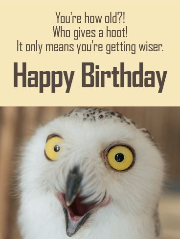 Funny Birthday Wishes - Birthday Wishes and Messages by Davia Short Funny Birthday Wishes, Happy Birthday Owl, Happy Birthday Animals, Funny Birthday Message, Birthday Jokes, Funny Happy Birthday Wishes, Birthday Greetings Friend, Happy Birthday Wishes Quotes, Happy Birthday Greetings Friends