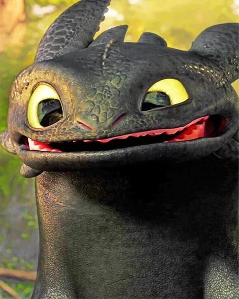 Toothless Smile, Cute Toothless, Httyd Toothless, Toothless Dragon, Ronaldo Wallpapers, Wallpaper Cute, Toothless, How Train Your Dragon, Httyd