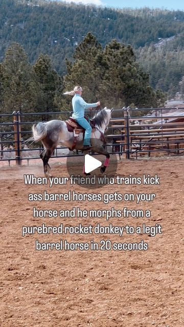 Megan Buckley on Instagram: "It was the yes mam attitude for me 😂 Counter Arch for the win 👏🏼 #BarrelRacingBabes #Rodeo #BarrelRacer #BarrelHorse #Cowgirl #FYP #ExplorePage #HorseTraining #BarrelRacing" Barrel Racing Photos, Barrel Racing Outfits, Barrel Racing Quotes, Barrel Horse, Barrel Racer, Rodeo Life, Barrel Racing, Horse Training, Rodeo