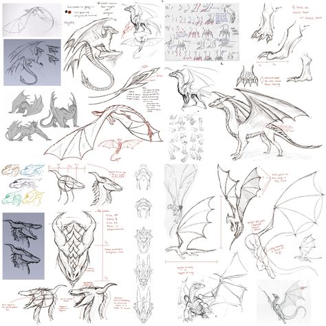 Anatomy Of Dragon, Dragon Anatomy Drawing Reference, Riding A Dragon Reference, Fantasy Drawing Tutorial, Dragon Wings Anatomy, Dragon Wing Anatomy, Dragon Mouth Drawing, Dragon Proportions, Dragon Study Drawing