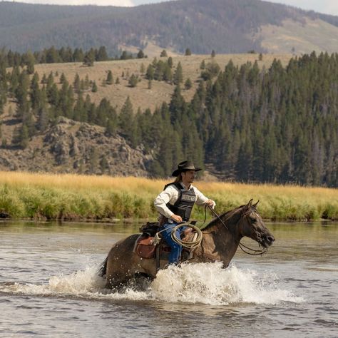 Birthday wishes to Luke Grimes 2023 Kayce Dutton, Yellowstone Series, Land Of The Lost, Luke Grimes, Cowboy Up, Western Aesthetic, Western Horse, Cowboy Style, Horse Farms