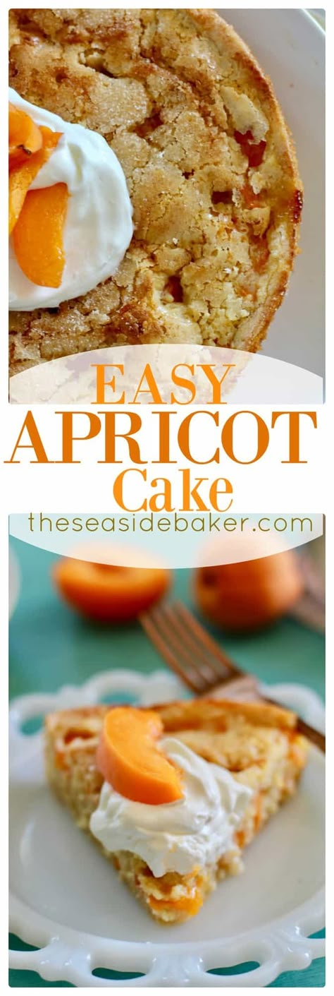 Roasted Apricots, Apricot Dessert, Fresh Apricots, Apricot Cake, Apricot Recipes, Resipi Kek, Cake Mug, Caramelized Sugar, The Seaside