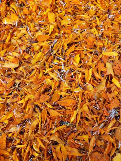 Orange Marigolds, Orange Marigold, Wedding Plants, Flower Confetti, Petal Confetti, Dried Oranges, Marigold Flower, Orange Wedding, Wedding Confetti