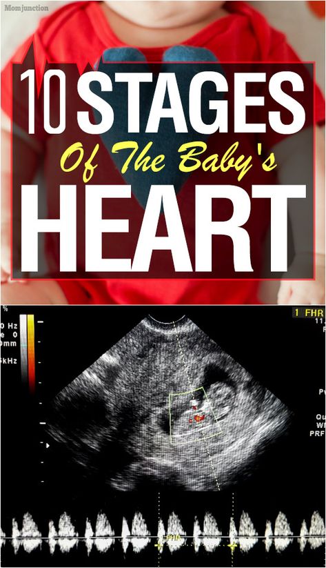 10 Stages Of The Baby's Heart: From The Beginning To Birth : Remember the day when you first saw your baby's tiny little heart beating away in the ultrasound? Wasn't it the most adorable feeling? #newborn #baby #babies #heartbeating #health Blush Ideas, Baby Heart, Pillows Decorative Diy, Baby Heartbeat, White Decorative Pillows, Living Room Decor Pillows, Mom Junction, Decorative Pillows Couch, Gold Pillows