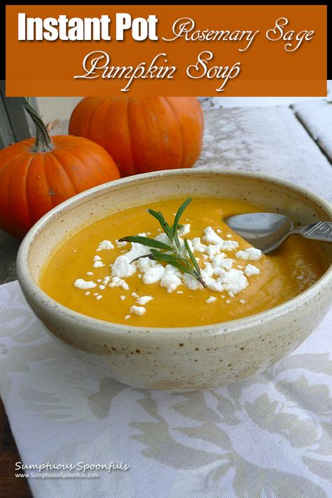 A velvety smooth and savory pumpkin soup with fresh rosemary and sage that's SUPER easy to make using your Instant Pot. On the table in 30 minutes, with only a few minutes of prep time. #vegan options #glutenfree #hearthealthy Vegetarian Instant Pot Recipes, Butternut Squash Black Bean, Vegan Bean Salad, Canned Pumpkin Recipes, Soup Instant Pot, Savory Pumpkin, Pressure Cooking Recipes, Vegetarian Instant Pot, Rosemary Sage