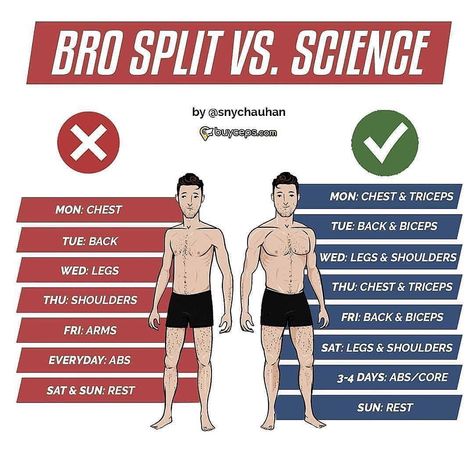 B O L A  F I T on Instagram: “📚 Are you struggling with diet and training routines? " ⠀⠀⠀⠀⠀⠀⠀⠀⠀ BRO-SPLITS VS SCIENCE ⠀⠀⠀⠀⠀⠀⠀⠀⠀ What you have here is a 6 day split where…” Bro Split, Workout Room Ideas, Ktm 200, Workout Split, Bodybuilding Program, Ab Day, Bodybuilding Tips, Gym Bro, Simple Exercise