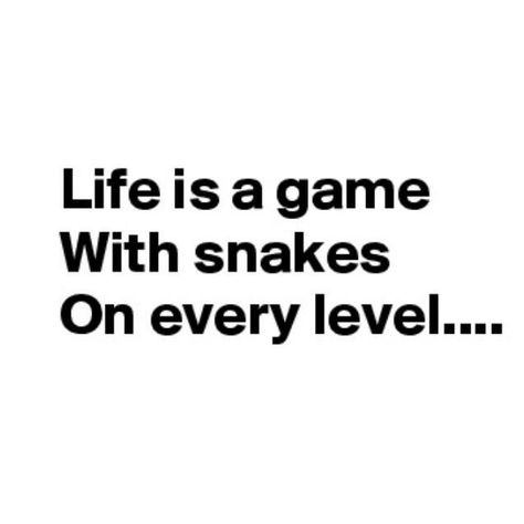 Snake Captions, Snake Friends Quotes, Quotes About Snakes, Snake Friends, Snake Quotes, Budapest Winter, Study Snaps, Toxic Quotes, Rude Quotes