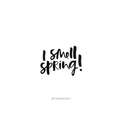 Quotes Spring, Funny Photo Captions, Black & White Quotes, Inspired Quotes, Spring Quotes, Flower Quotes, Spring Inspiration, Happy Wednesday, Wonderful Words