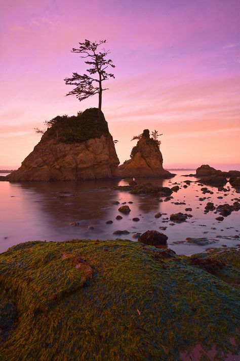 Morning Twilight - Garibaldi Bay, Oregon Coast, Oregon Oregon Caves, Oregon Coastline, Golf Course Photography, Painted Hills, Rockaway Beach, Mount Hood, Us Road Trip, Cascade Mountains, Cannon Beach