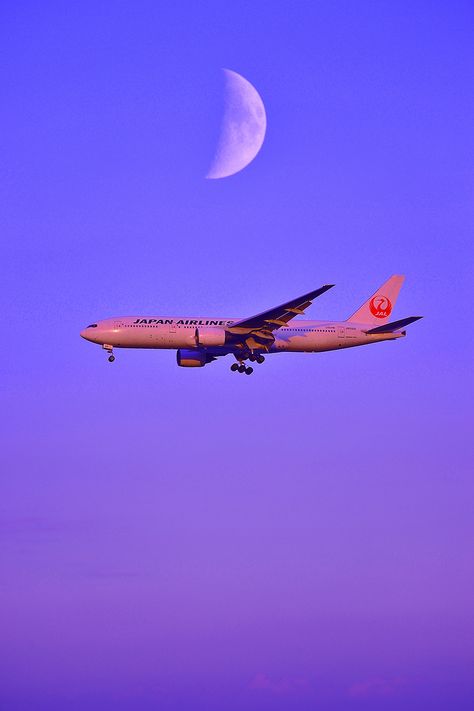 2014 JAPAN AIRLINES Pretty Wallpaper Ipad, Japan Airlines, Boeing 787 Dreamliner, Hd Wallpaper 4k, Flight Attendant Life, Passenger Aircraft, Boeing 787, Boeing 777, Aviation Photography