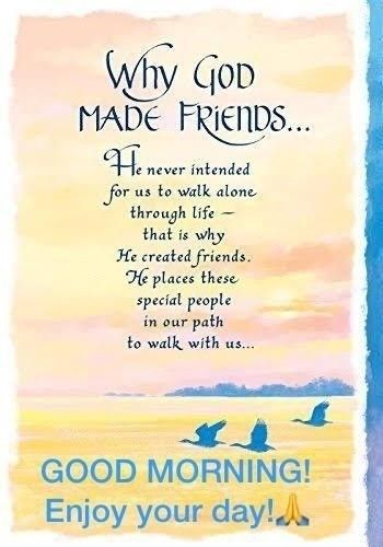 Inspirational Friend Quotes, Happy Friendship Day Quotes, Blessed Morning Quotes, Good Morning Quotes Friendship, Good Morning Dear Friend, Special Friend Quotes, Morning Quotes For Friends, Happy Day Quotes, On Friendship