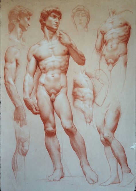 GCA Blog: Drawing from the Past: Michelangelo and the Antique Rennaissance Art, Master Drawing, Academic Art, Anatomy Sketches, Anatomy Drawing, Figure Drawing Reference, Body Drawing, Guy Drawing, Naha